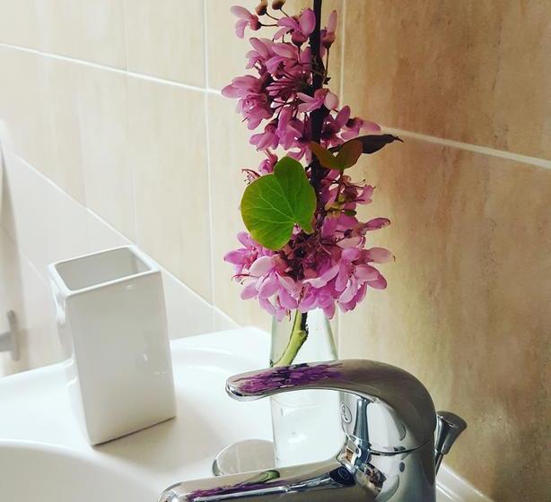 B&b Vialamarmora  | Nuoro | Sardinia | Italy 14