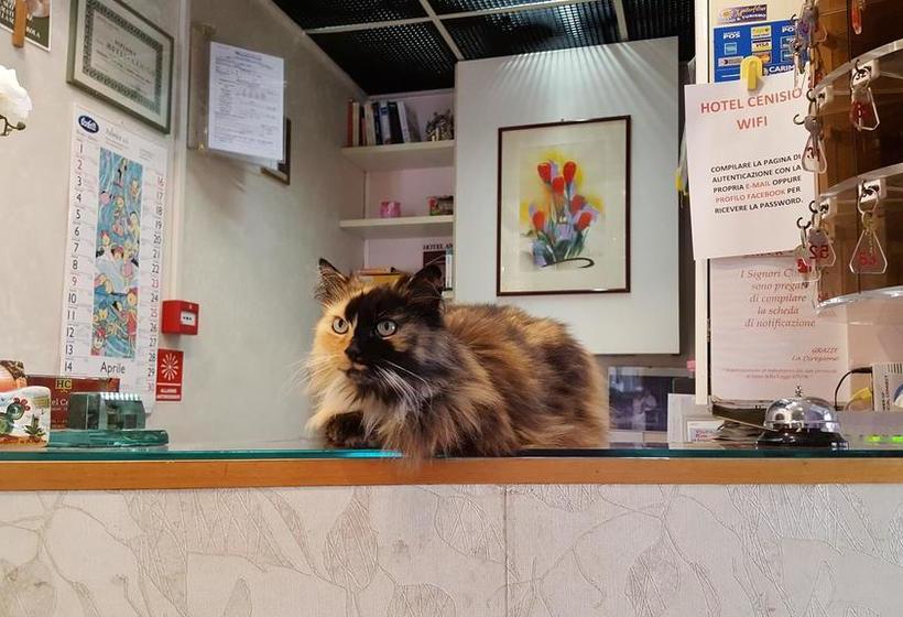 Hotel Cenisio  | Rímini | Rimini | Italia 12