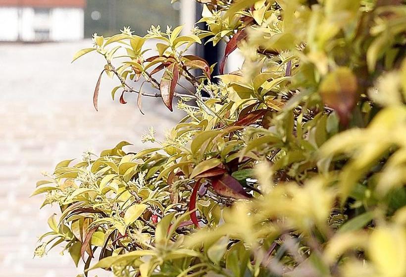 Ostello Villafranca  | Pignola | Potenza | Italia 7