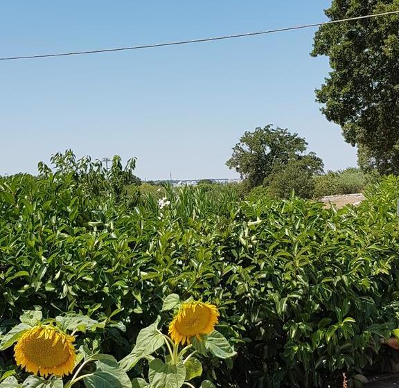 Bed and Breakfast Trulli Della Masseria Staffone  | Alberobello | Bari | Itália 12