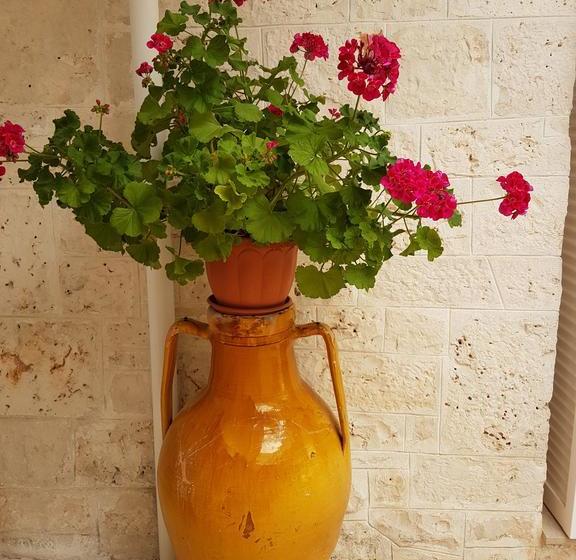 Bed and Breakfast Trulli Della Masseria Staffone  | Alberobello | Bari | Itália 15