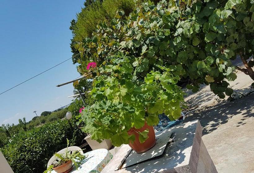 Bed and Breakfast Trulli Della Masseria Staffone  | Alberobello | Bari | Itália 3