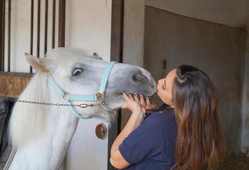 Scuderie Le Torri B&b 
