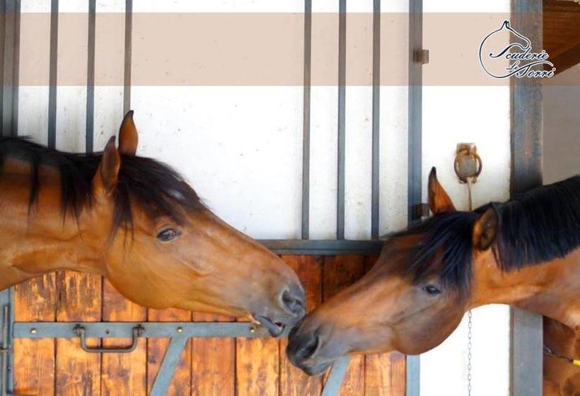 Scuderie Le Torri B&b  | Polignano a Mare | Bari | Italia 4