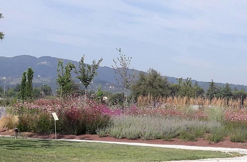 Resort Pistoia Nursery Campus  | Pistoia | Pistoia | Italia 7