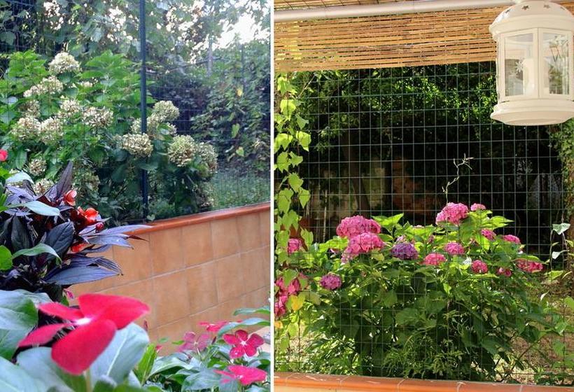 Torre Del Giglio Bed & Breakfast  | Salerno | Salerno | Italia 3