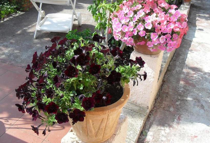 Bed and Breakfast Villa Acacia  | Impéria | Imperia | Itália 7