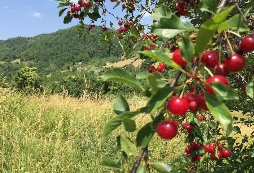 B&b Il Molino Del Ponte  | Polinago | Modena | Italie 7