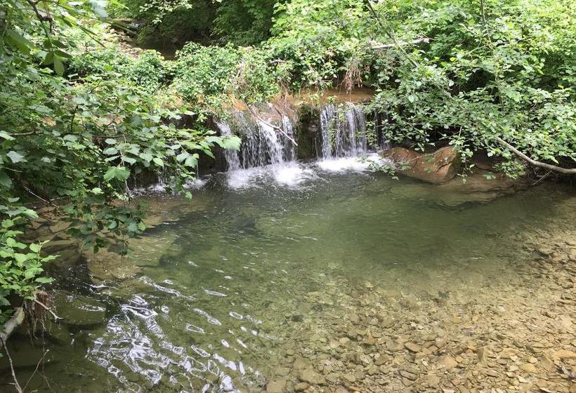 B&b Il Molino Del Ponte  | Polinago | Modena | Italie 8