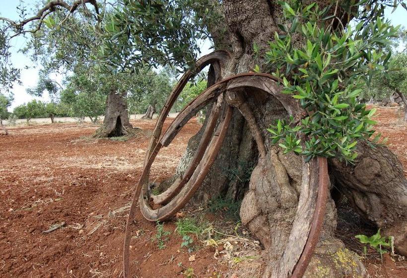 Hotel Vicario Puglia  | Carovigno | Brindisi | Italia 6