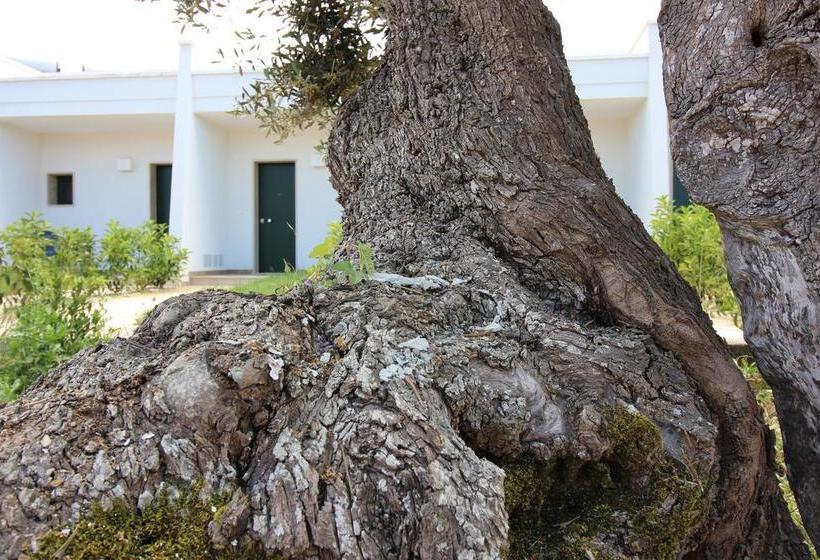 Hotel Vicario Puglia  | Carovigno | Brindisi | Italia 9