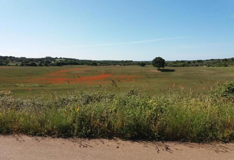 B&b Palazzo Mariangela  | Castellana Grotte | Bari | Italia 12