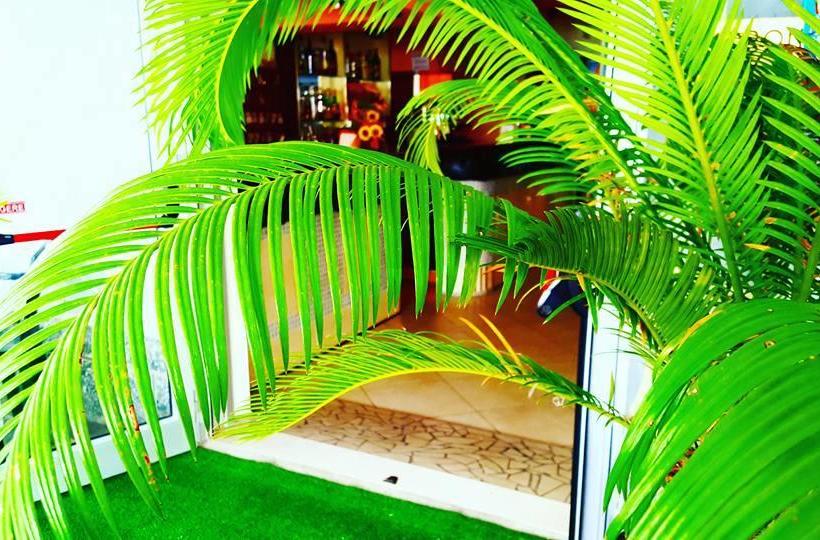 Hotel Moroni  | Rimini | Rimini | Italia 3