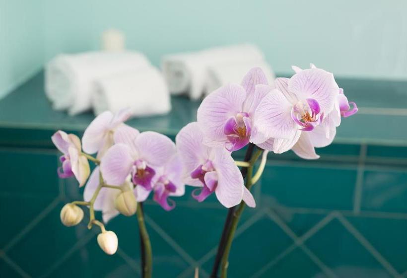 Bed and Breakfast Villa Fabiana  | Amalfi | Salerno | Italia 3