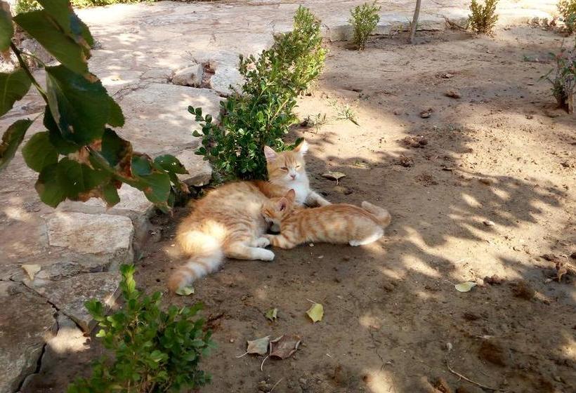 Bed and Breakfast Villa Musella  | Porto Cesareo | Lecce | Italia 1