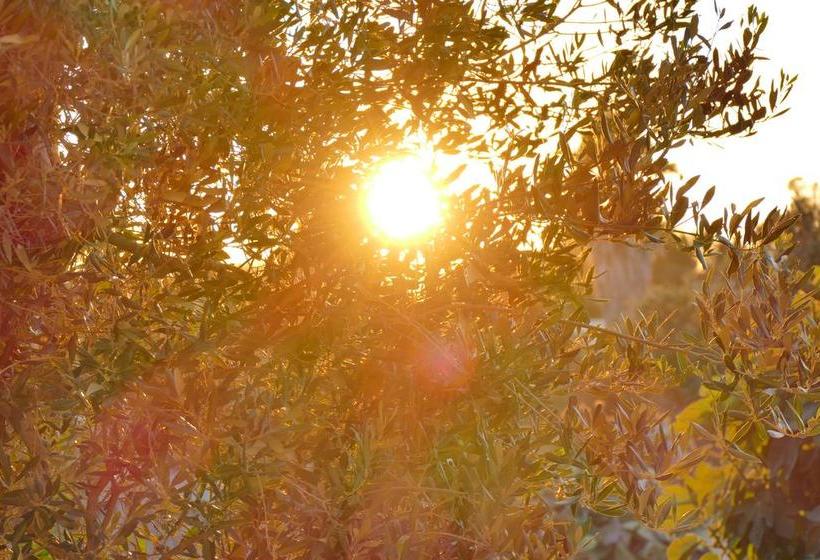 Bed and Breakfast Villa Musella  | Porto Cesareo | Lecce | Italia 3