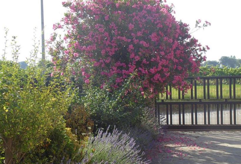 B&b La Gioiosa  | Santa Maria Degli Angeli | Perugia | Italia 13