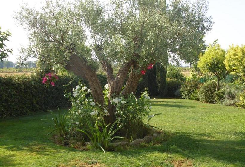 B&b La Gioiosa  | Santa Maria Degli Angeli | Perugia | Italia 15