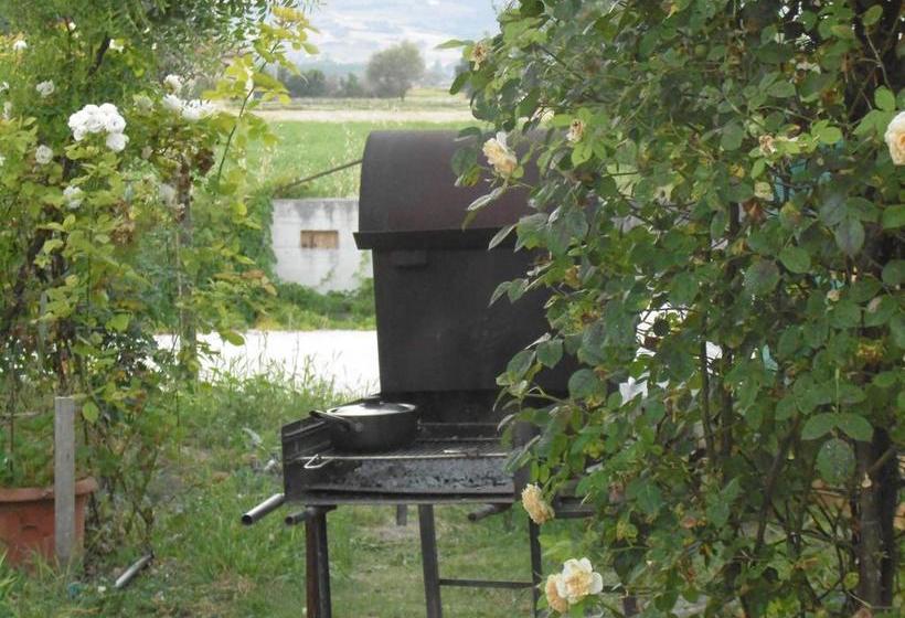 B&b La Gioiosa  | Santa Maria Degli Angeli | Perugia | Italia 17