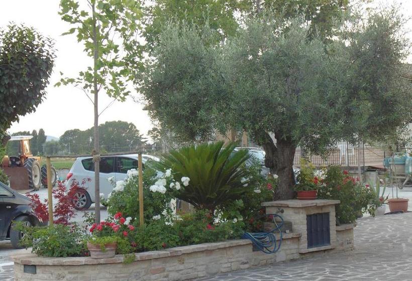 B&b La Gioiosa  | Santa Maria Degli Angeli | Perugia | Italia 18