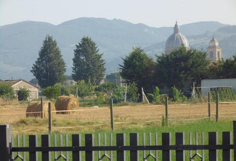 B&b La Gioiosa  | Santa Maria Degli Angeli | Perugia | Italia 2