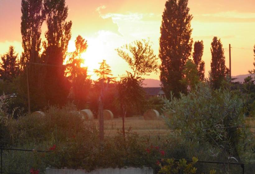 B&b La Gioiosa  | Santa Maria Degli Angeli | Perugia | Italia 20