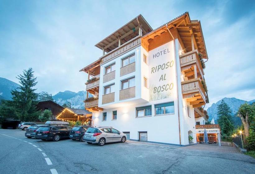 Hotel Riposo Al Boscowaldruhe  | Marebbe | Bolzano | Italia 3