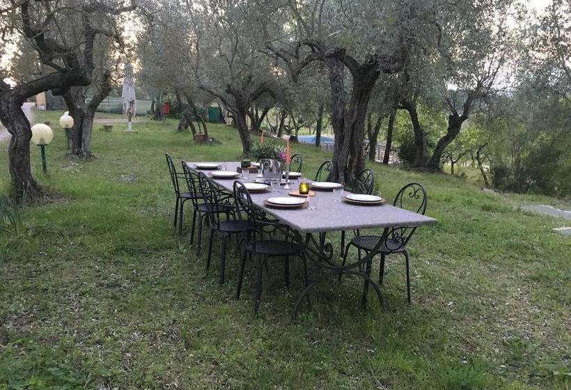 Bed and Breakfast Poggiotella  | Montespertoli | Florence | Italia 10