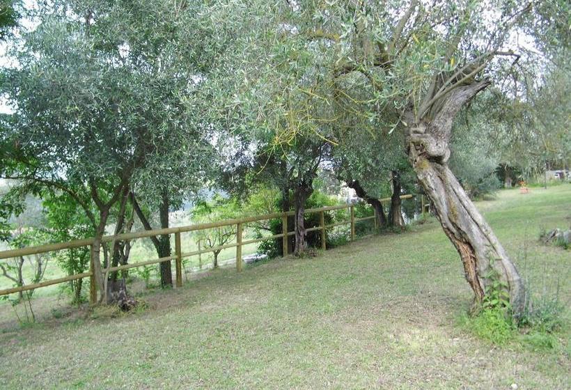 Bed and Breakfast Poggiotella  | Montespertoli | Florence | Italia 13