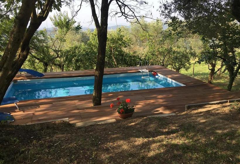 Bed and Breakfast Poggiotella  | Montespertoli | Florence | Italia 3