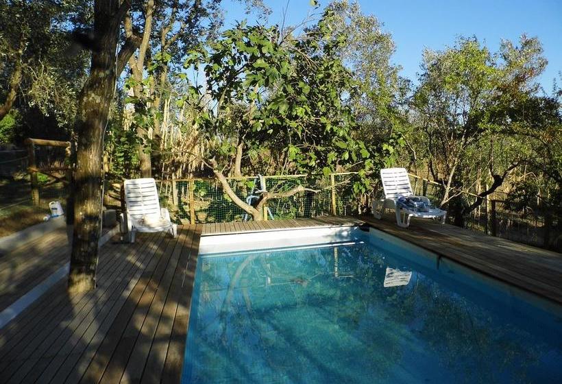 Bed and Breakfast Poggiotella  | Montespertoli | Florence | Italia 4