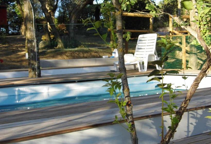 Bed and Breakfast Poggiotella  | Montespertoli | Florence | Italia 5