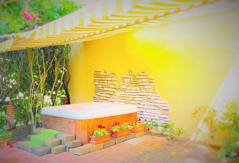 Bed and Breakfast Poggiotella  | Montespertoli | Florence | Italia 6