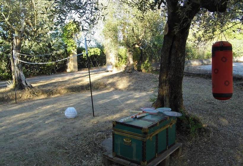 Bed and Breakfast Poggiotella  | Montespertoli | Florence | Italia 7