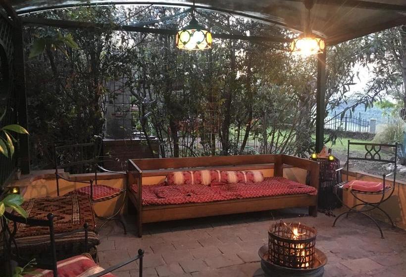 Bed and Breakfast Poggiotella  | Montespertoli | Florence | Italia 9