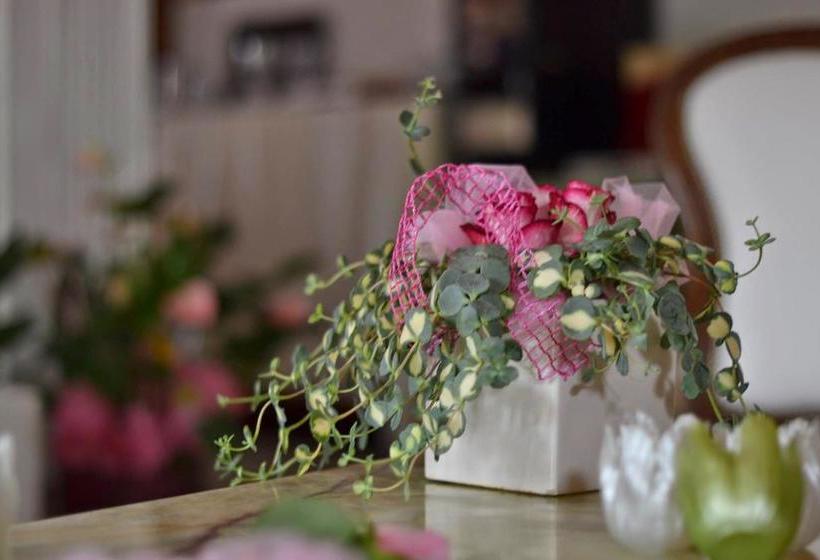 Hotel Bolognese Bellevue  | Riccione | Rimini | Italia 18