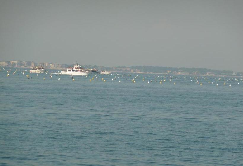 Hotel Parini  | Bellaria | Rimini | Italia 19