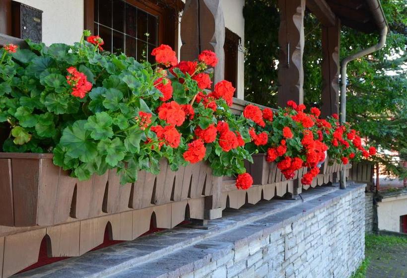 Bed and Breakfast Garni Sayonara  | Marebbe | Bolzano | Italia 15