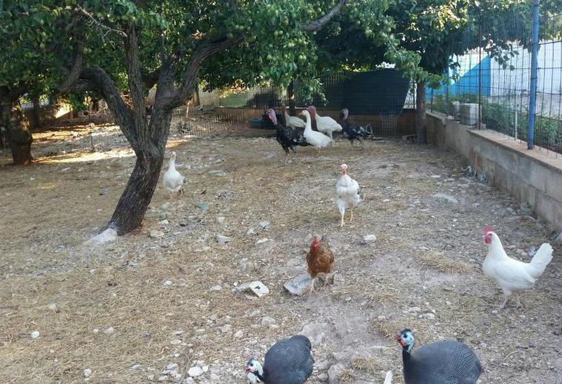 Itria Park B&b  | Martina Franca | Taranto | Italia 2