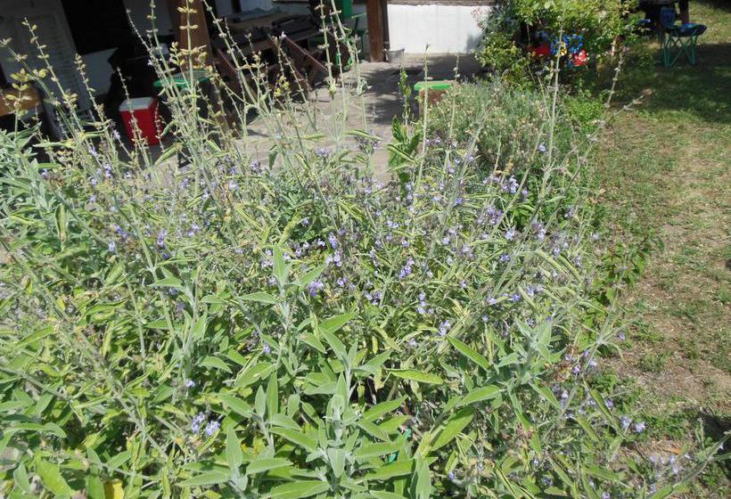 B&b La Cascina Nel Frutteto  | Trieste | Trieste | Italia 14