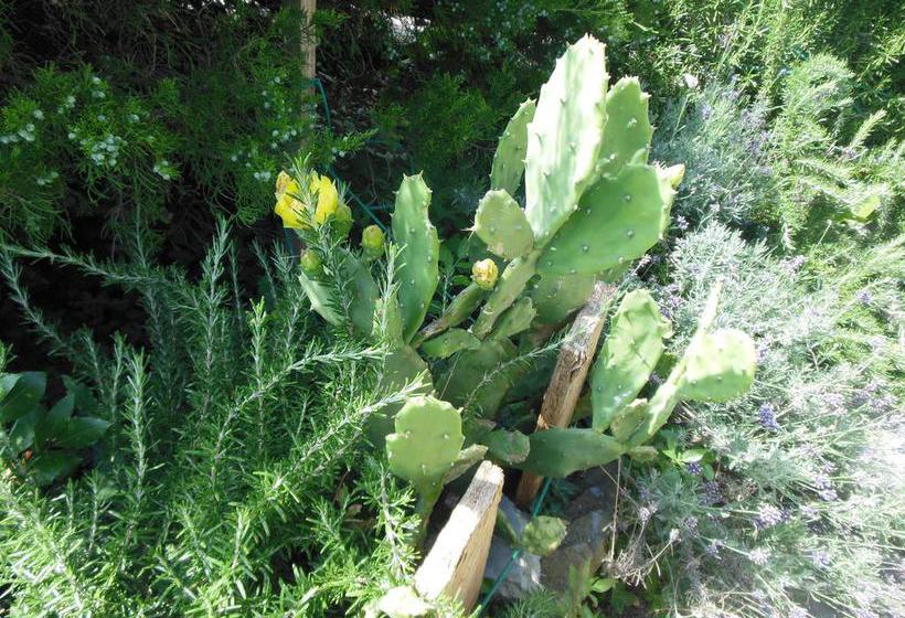 B&b La Cascina Nel Frutteto  | Trieste | Trieste | Italia 16