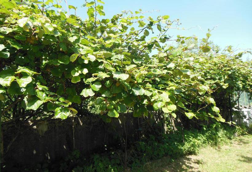 B&b La Cascina Nel Frutteto  | Trieste | Trieste | Italia 4