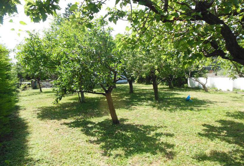 B&b La Cascina Nel Frutteto  | Trieste | Trieste | Italia 7
