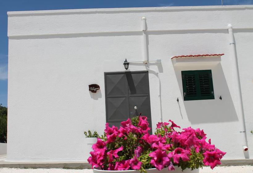 Bed and Breakfast Country House Ostuni  | Ostuni | Brindisi | Italia 5