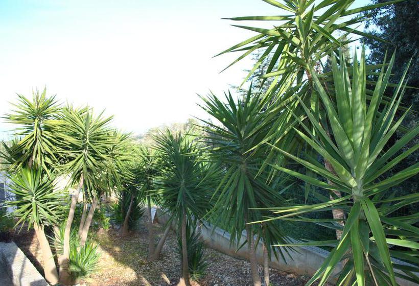 Bed and Breakfast Le Dimore Del Sarto Villa Francesco  | Polignano a Mare | Bari | Italia 10