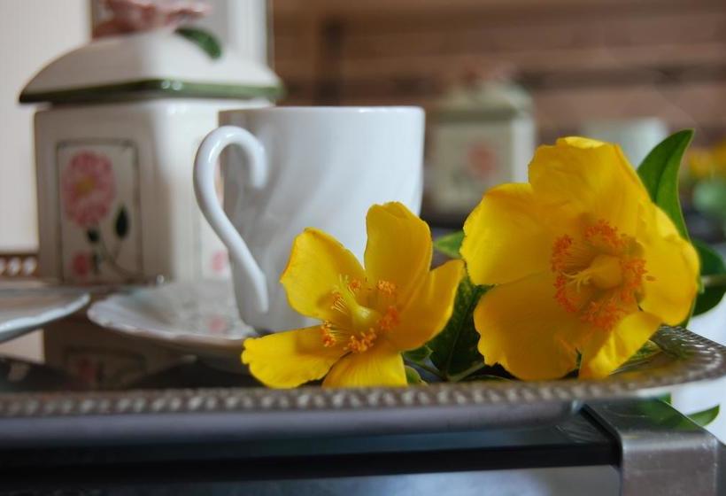 B&b Le Querce  | Curtatone | Mantova | Italia 2