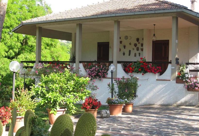 Bed and Breakfast Valle Degli Ulivi