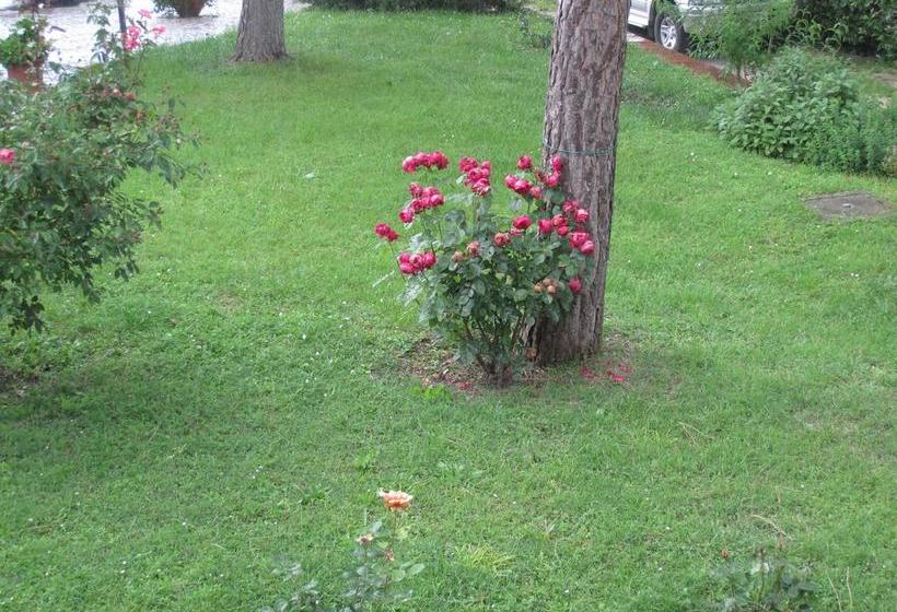 Bed and Breakfast Valle Degli Ulivi  | Terni | Terni | Itália 10