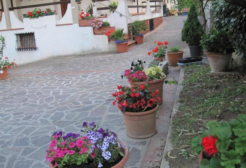 Bed and Breakfast Valle Degli Ulivi  | Terni | Terni | Itália 11