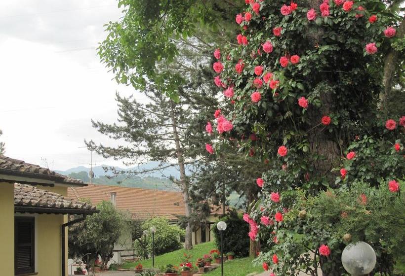 Bed and Breakfast Valle Degli Ulivi  | Terni | Terni | Itália 14